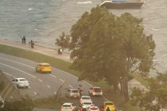 Queda de árvore no Aterro
