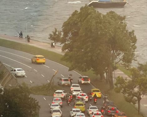 Queda de árvore no Aterro