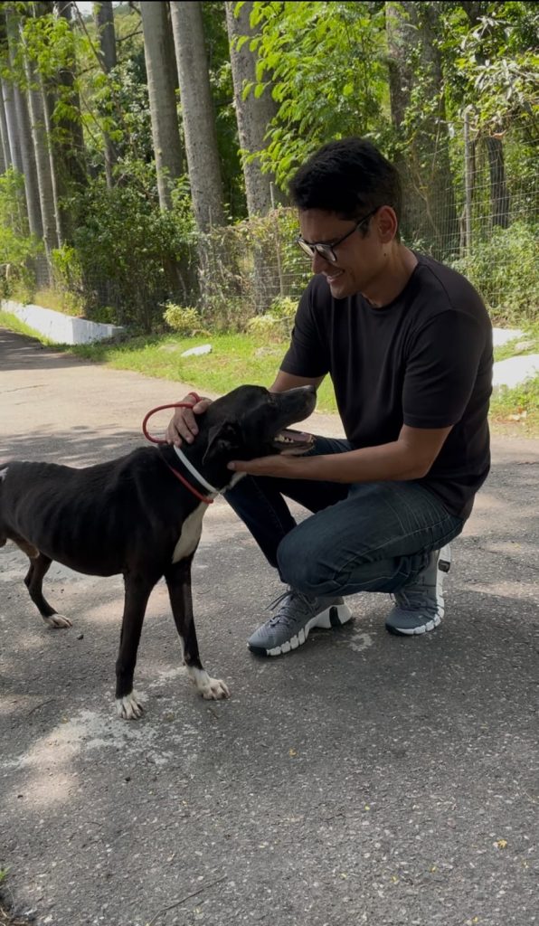 Viva o vira-lata! Cachorro caramelo ganha música do Farofa Carioca com Frejat e tem muita história pra contar 64 antares