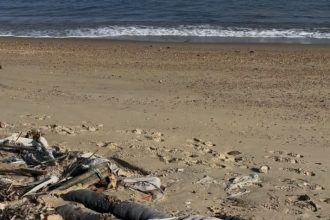 O susto deu lugar ao mistério. O boneco sem cabeça encontrado na Ilha Seca foi confundido com um cadáver pelos ativistas e acabou ganhando o nome de “Zé da Ilha Seca”.