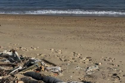 O susto deu lugar ao mistério. O boneco sem cabeça encontrado na Ilha Seca foi confundido com um cadáver pelos ativistas e acabou ganhando o nome de “Zé da Ilha Seca”.