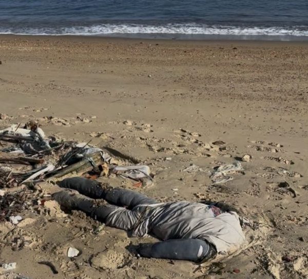 O susto deu lugar ao mistério. O boneco sem cabeça encontrado na Ilha Seca foi confundido com um cadáver pelos ativistas e acabou ganhando o nome de “Zé da Ilha Seca”.
