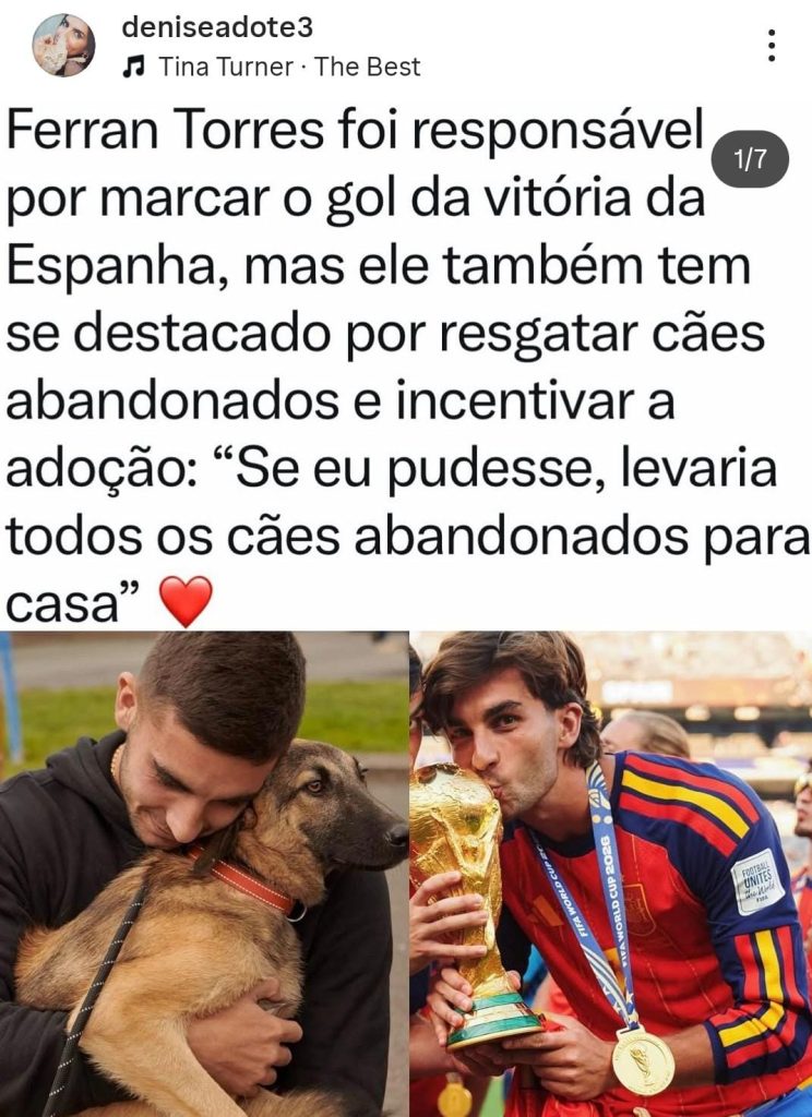 Viva o vira-lata! Cachorro caramelo ganha música do Farofa Carioca com Frejat e tem muita história pra contar 66 fernan 1