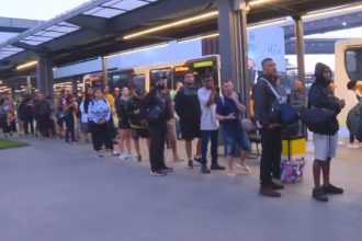 greve onibus