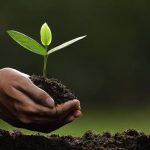 Prefeitura do Rio deverá exigir estudos climáticos e planos de mitigação de emissões de gases de efeito estufa no licenciamento ambiental de grandes empreendimentos
