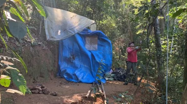 Operação conjunta: Prefeitura do Rio e ICMBio retiram quase meia tonelada de barracas e lonas de área protegida no Parque da Tijuca