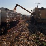 Governo do estado sanciona lei que prorroga até o fim de 2027 a redução da base de cálculo do ICMS sobre insumos agropecuários