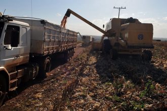 Governo do estado sanciona lei que prorroga até o fim de 2027 a redução da base de cálculo do ICMS sobre insumos agropecuários