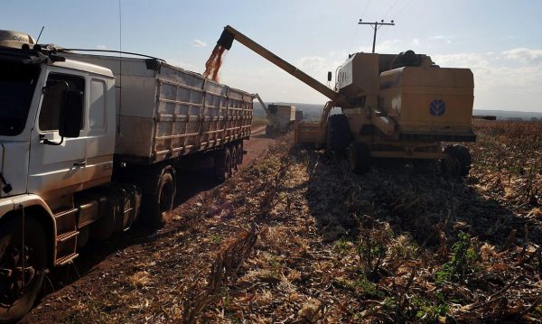 Governo do estado sanciona lei que prorroga até o fim de 2027 a redução da base de cálculo do ICMS sobre insumos agropecuários