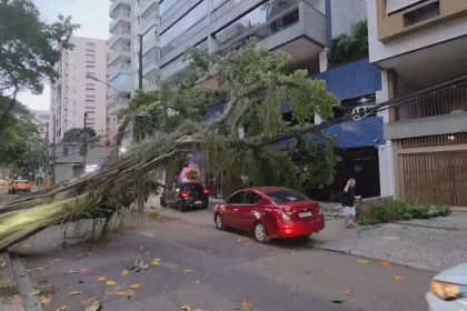 vendaval derruba arvore no Rio