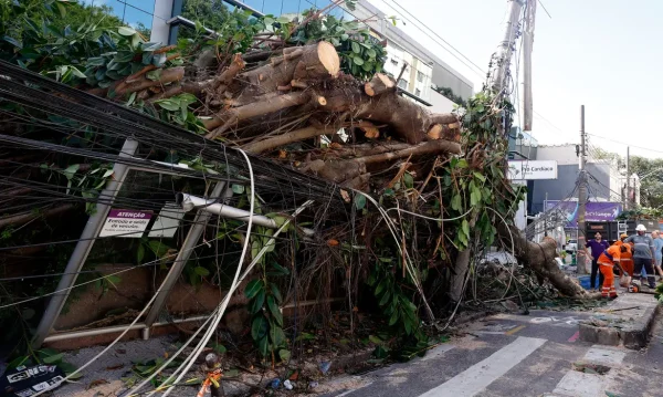 Após vendaval com rajadas de mais de 100 km/h, Prefeitura do Rio anuncia a compra de novos sensores de vento