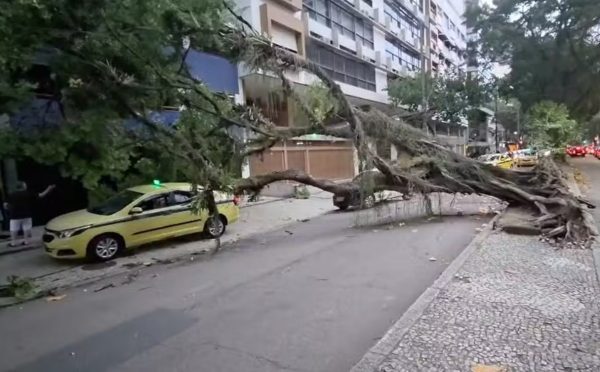 Trens parados em vários trechos, falta de luz e interdições no trânsito: manhã pós-ventania no Rio 48 Trens parados em vários trechos, falta de luz e interdições no trânsito: manhã pós-ventania no Rio