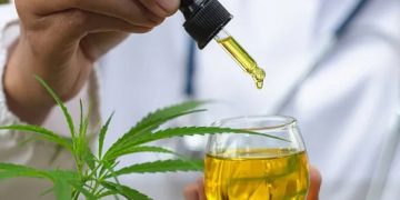 Cinco municípios do Rio abriram 13 procedimentos para atender pacientes que obtiveram na Justiça o direito a produtos derivados de cannabis