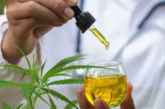 À espera de decisão do STF, cinco municípios do Rio abriram contratações para pacientes que usam produtos derivados de cannabis 47 Cinco municípios do Rio abriram 13 procedimentos para atender pacientes que obtiveram na Justiça o direito a produtos derivados de cannabis