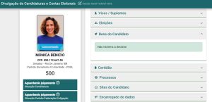 Candidadata ao Senado pelo PSOL, Mônica Benício afirma não ter patrimônio para declarar 49 Mônica Benício - Bens 2026