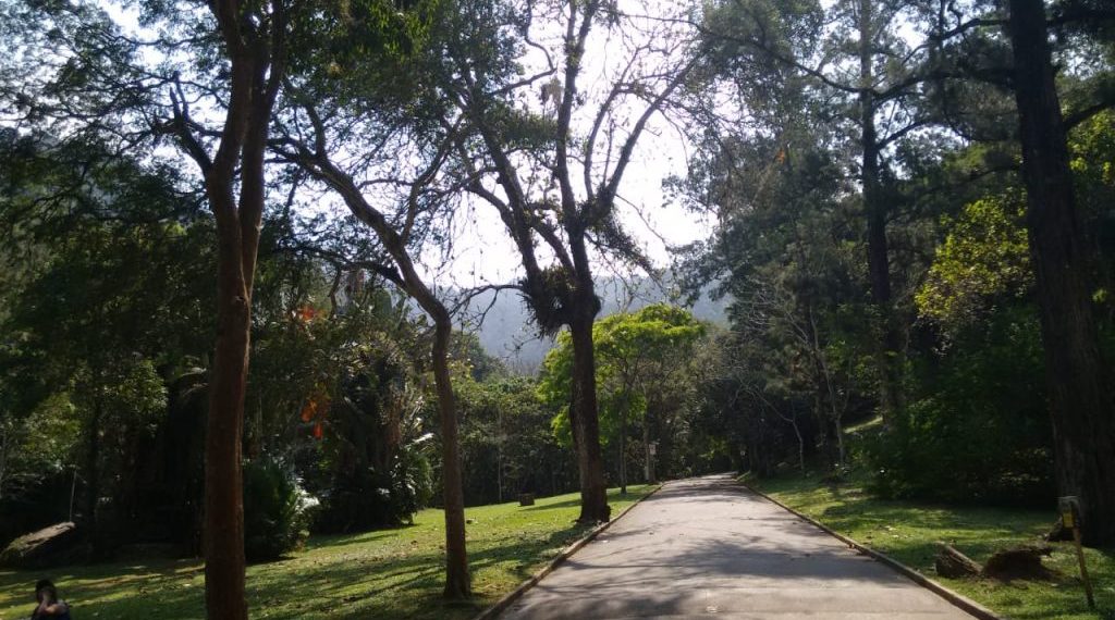 Parque Natural Municipal da Cidade