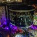 No aniversário de 20 anos da Lei Maria da Penha, prédios do governo do estado recebem iluminação lilás 50 Prédio iluminado com a cor lilás para celebrar os 20 anos da Lei Maria da Penha