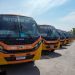 Novos ônibus começam a circular em Campo Grande