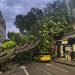 Defesa Civil envia ‘alerta severo’ para celulares por risco de rajadas de vento de até 76 km/h no Rio nesta quarta-feira