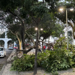 Light afirma que concluiu a normalização da rede elétrica após o vendaval