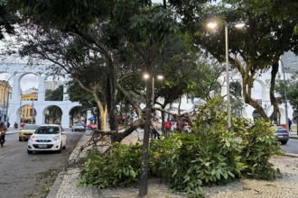 Light afirma que concluiu a normalização da rede elétrica após o vendaval