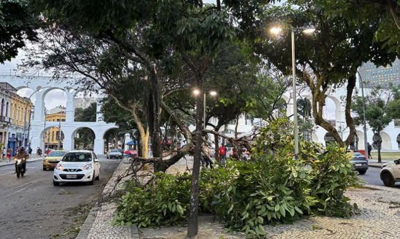 Light afirma que concluiu a normalização da rede elétrica após o vendaval