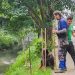 Mesquita lidera ICMS Ecológico do RJ pelo segundo ano seguido e ganha R$ 14 milhões em repasses 49 Plantio de mudas na Avenida Eternidade, na Vila Emil, Mesquita