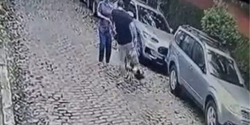 Imagem de câmera de segurança que flagrou homem agredindo mulher e cães na Gávea, na Rua Piratininga