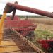 Maquina de grãos durante colheita em fazenda subsidiada pelo Plano Safra