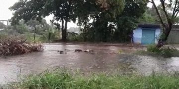 "Nas condições atuais do canal, mesmo sem a contribuição do extravasor, em eventos de chuva ocorre o transbordamento, provocando alagamentos em todo o bairro do entorno", diz o processo que embasa a licitação complementar ao Reservatório Novo Marapicu