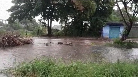 Marapicu, a história sem fim: depois de atrasos e aditivos, Cedae licita mais R$ 46 milhões para o reservatório não inundar o bairro do Jardim Guandu 48 "Nas condições atuais do canal, mesmo sem a contribuição do extravasor, em eventos de chuva ocorre o transbordamento, provocando alagamentos em todo o bairro do entorno", diz o processo que embasa a licitação complementar ao Reservatório Novo Marapicu