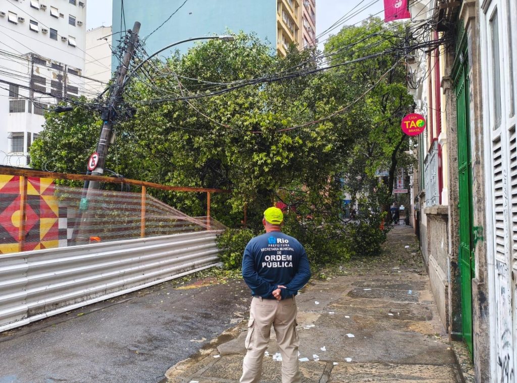 Queda de árvore sobre fiação interdita rua no Centro do Rio; frente fria traz chuva e ventos fortes à cidade neste domingo (06)