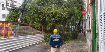 Uma árvore caiu sobre a fiação e interditou a rua Joaquim Silva