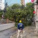 Uma árvore caiu sobre a fiação e interditou a rua Joaquim Silva