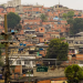 Câmara do Rio aprova plano de arborização específico para favelas com pelo menos 50% de espécies frutíferas