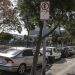 CCJ da Câmara dos Deputados aprova gratuidade de 15 minutos em estacionamentos rotativos pagos em vias públicas 63 CCJ da Câmara dos Deputados aprova gratuidade de 15 minutos em estacionamentos rotativos pagos em vias públicas