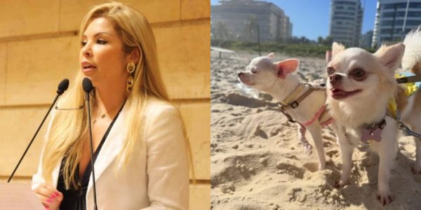 Verônica Costa pode ser indiciada por abandonar suas cachorrinhas ao fugir da polícia 49 Verônica Costa e animais de estimação