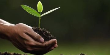 Menos burocracia, mais agilidade: estado do Rio simplifica licenciamento ambiental para destravar investimentos e acelerar obras; entenda as novas regras
