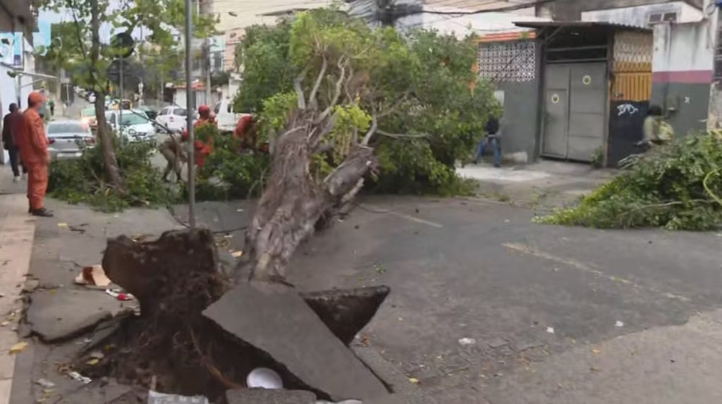 Ventania de 71 km/h provoca queda de árvores em diversas regiões no Rio; Defesa Civil emite alerta orientando a população a procurar um local seguro