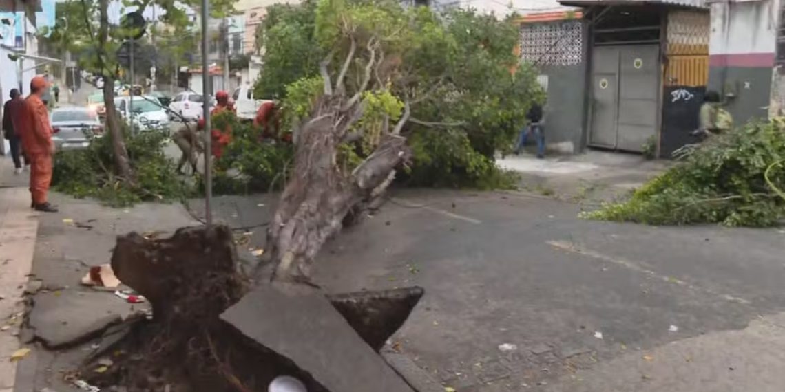 Ventania de 71 km/h provoca queda de árvores em diversas regiões no Rio; Defesa Civil emite alerta orientando a população a procurar um local seguro 48 A terça-feira (01) amanheceu trazendo chuva e ventania para o Rio