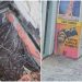 Abandonado, casarão histórico onde Carmen Miranda morou vira acesso para furtos no Centro do Rio