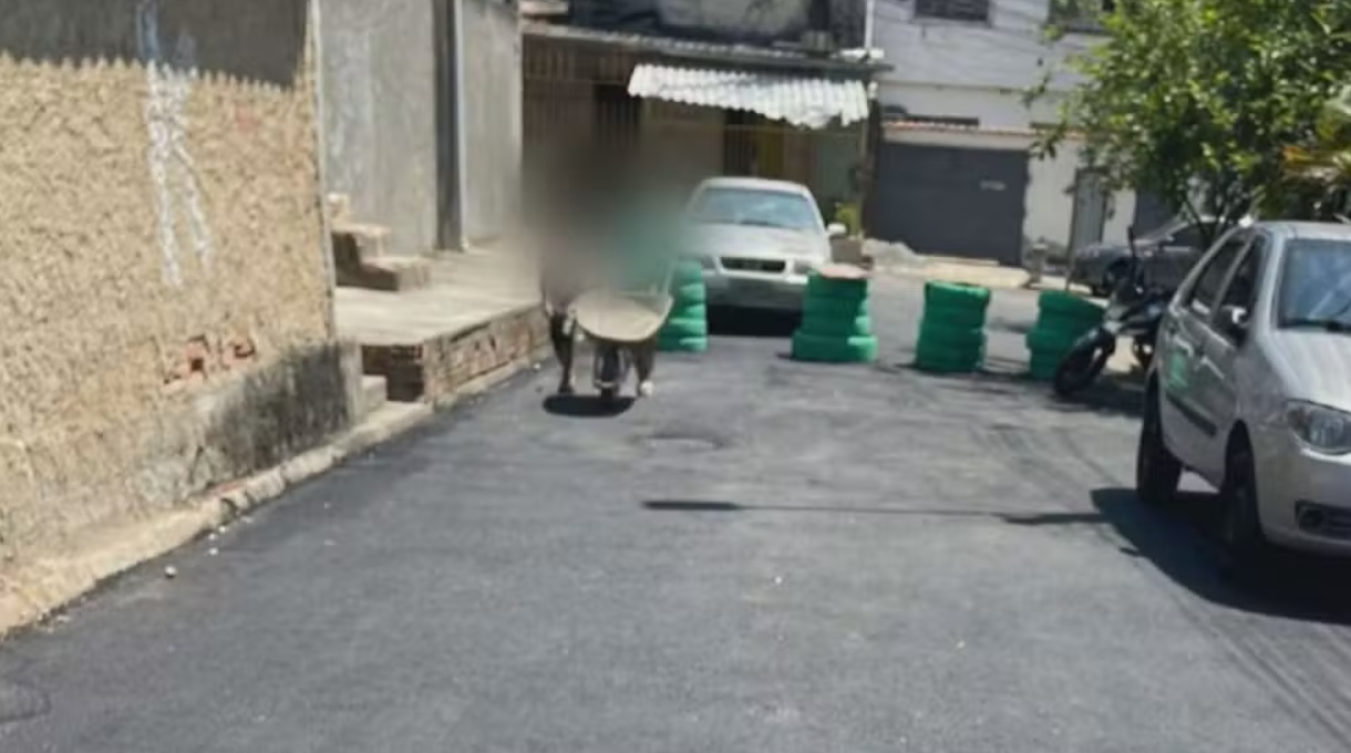 barricadas