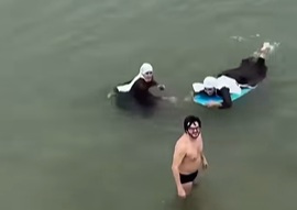 Búzios vira destino 'abençoado' com visitas de freiras, que remaram caiaque e até se arriscaram no surfe 53 As irmãs Cáritas também se arriscaram no surfe para curtir as praias de Búzios