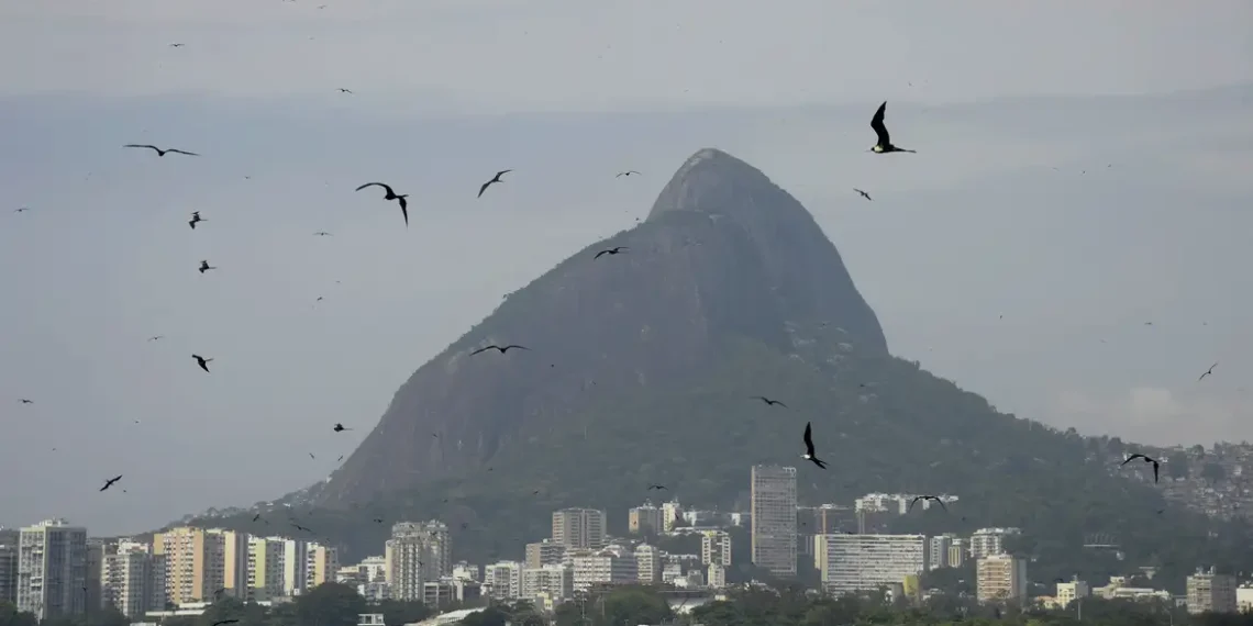 Lagoa Rodrigo de Freitas