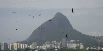 Lagoa Rodrigo de Freitas